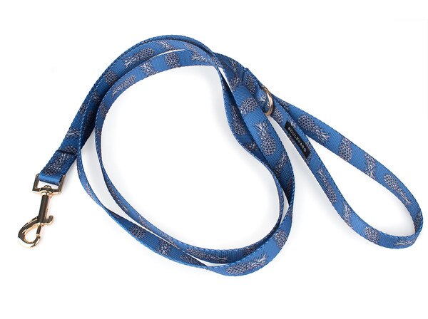 ALL_NAVY-01.jpg