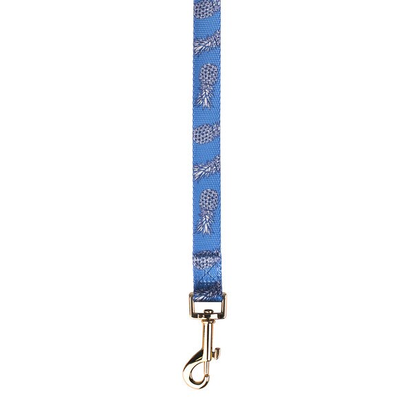 ALL_NAVY-03.jpg