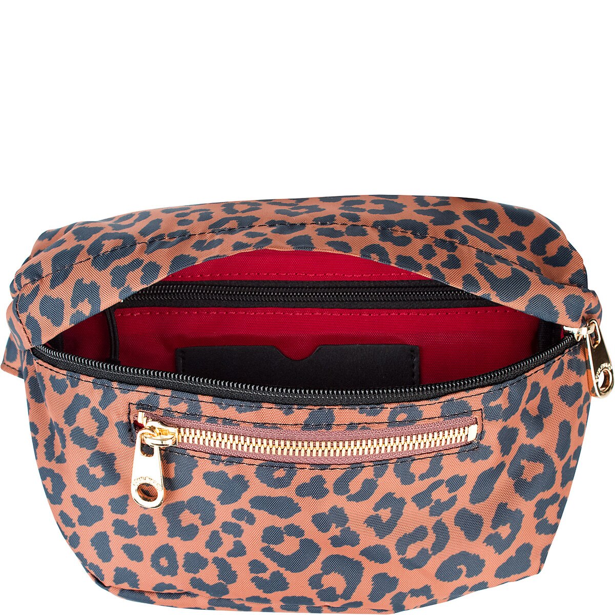 FRA_LEOPARD-03.jpg