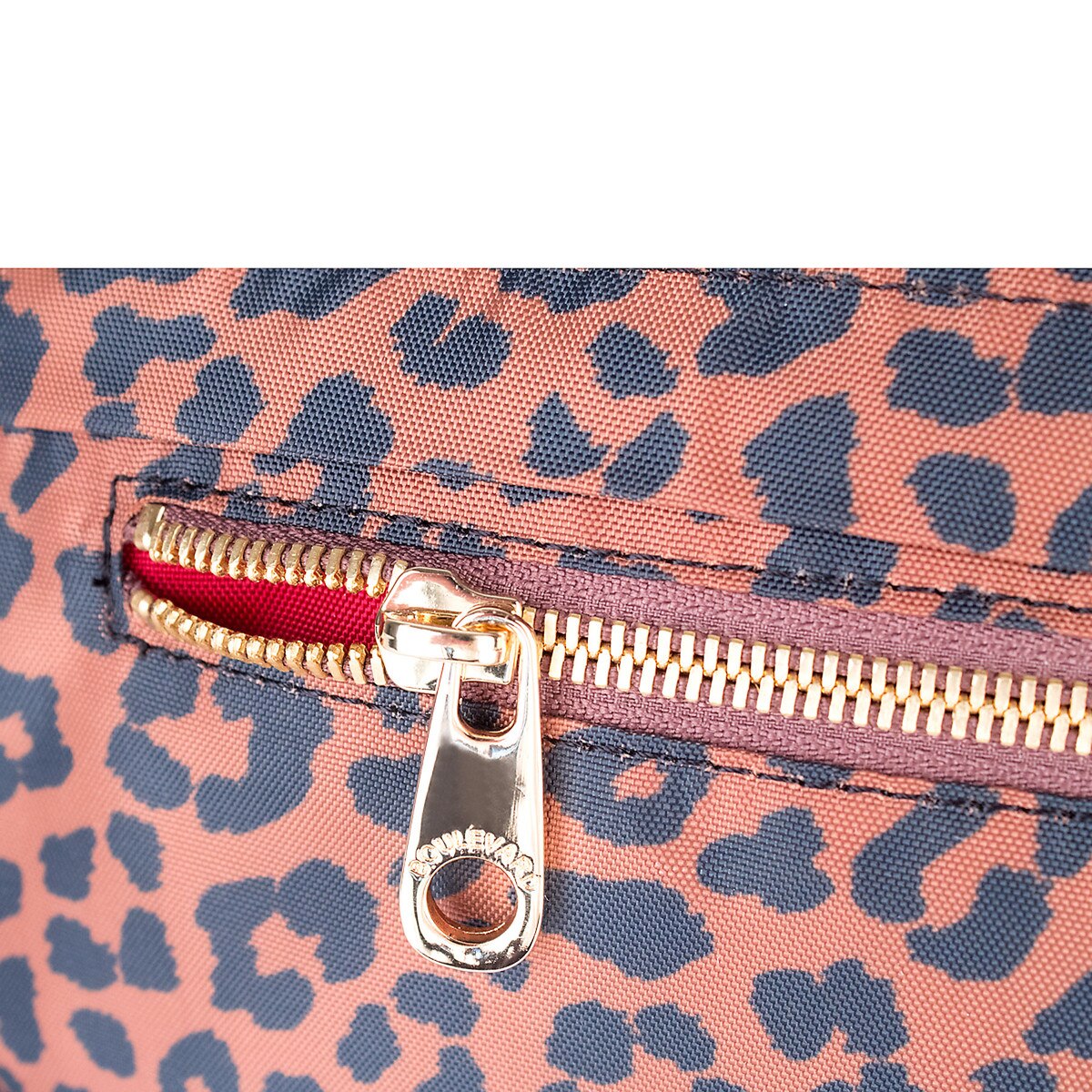 FRA_LEOPARD-04.jpg