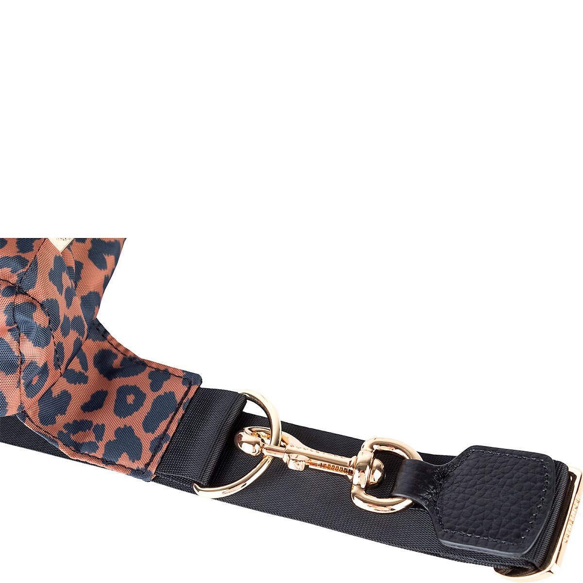 FRA_LEOPARD-05.jpg