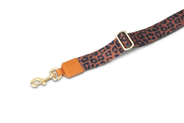 KRS_LEOPARD-02.jpg