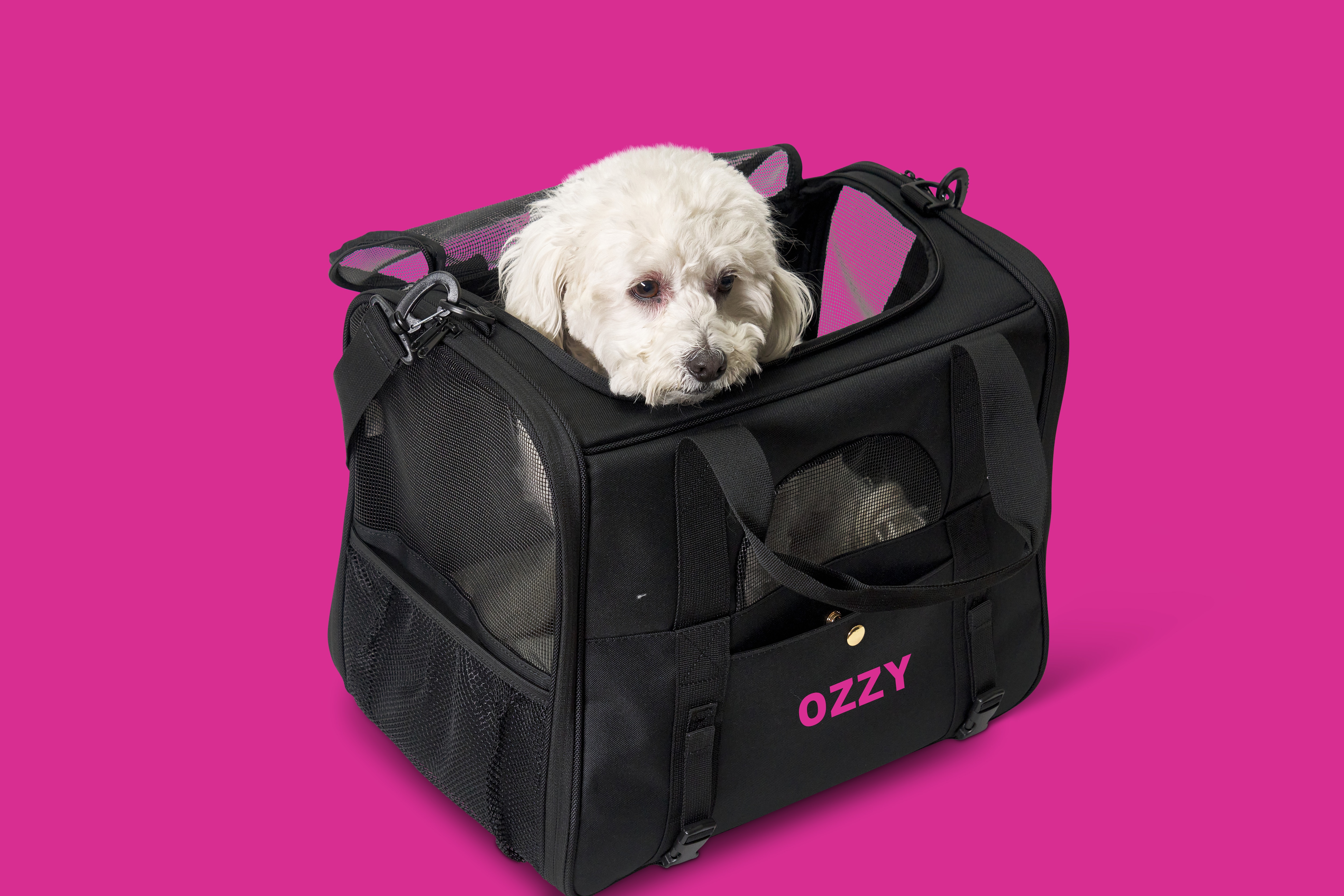 Milo Dog Carrier