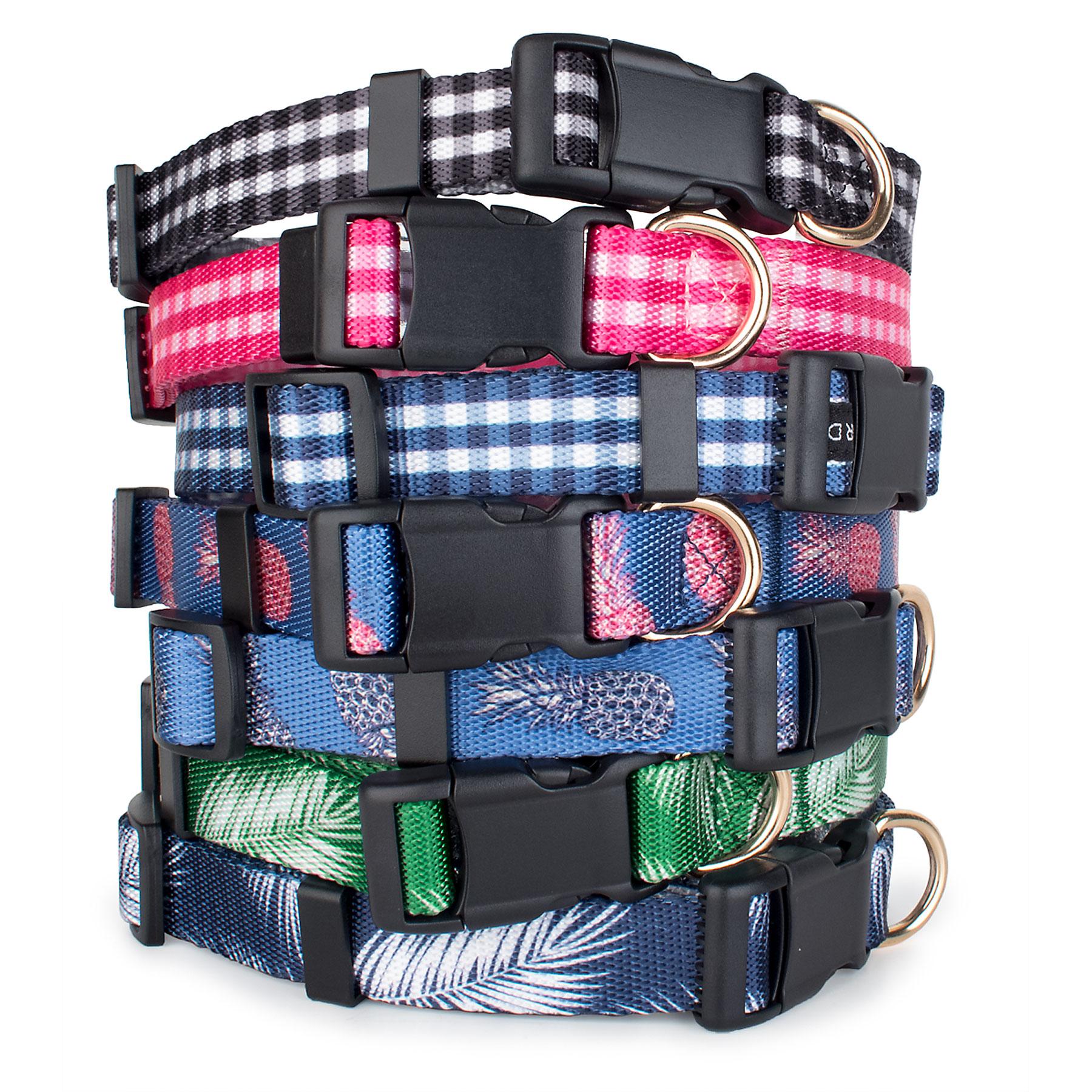 Pac dog collars 2025