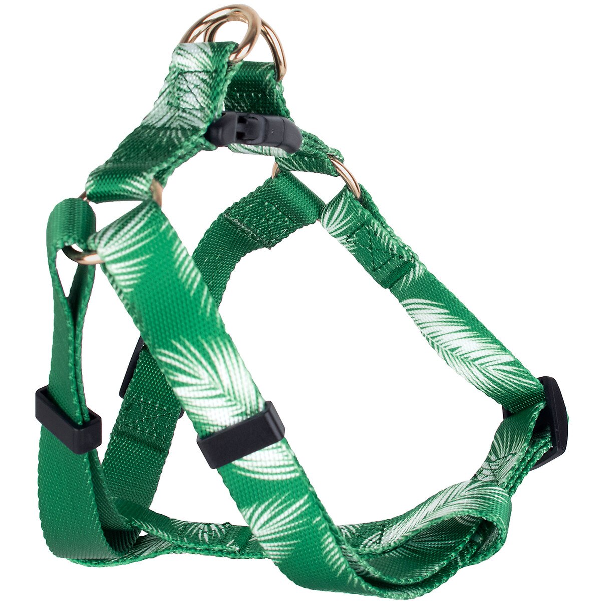 PAH_GREEN-01.jpg