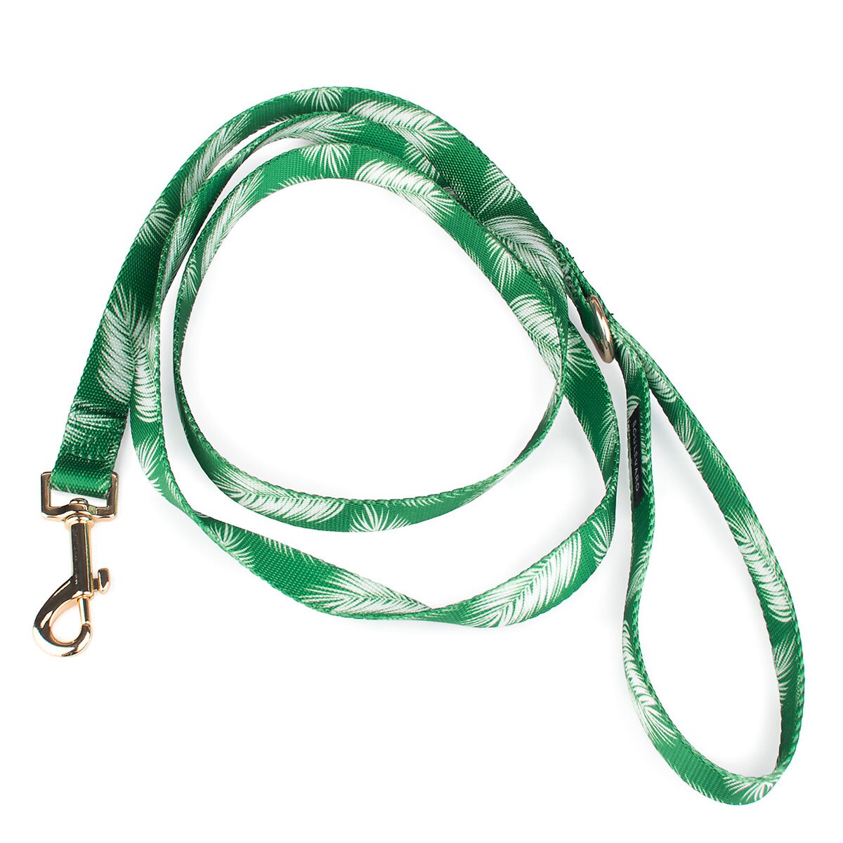 PAL_GREEN-01.jpg