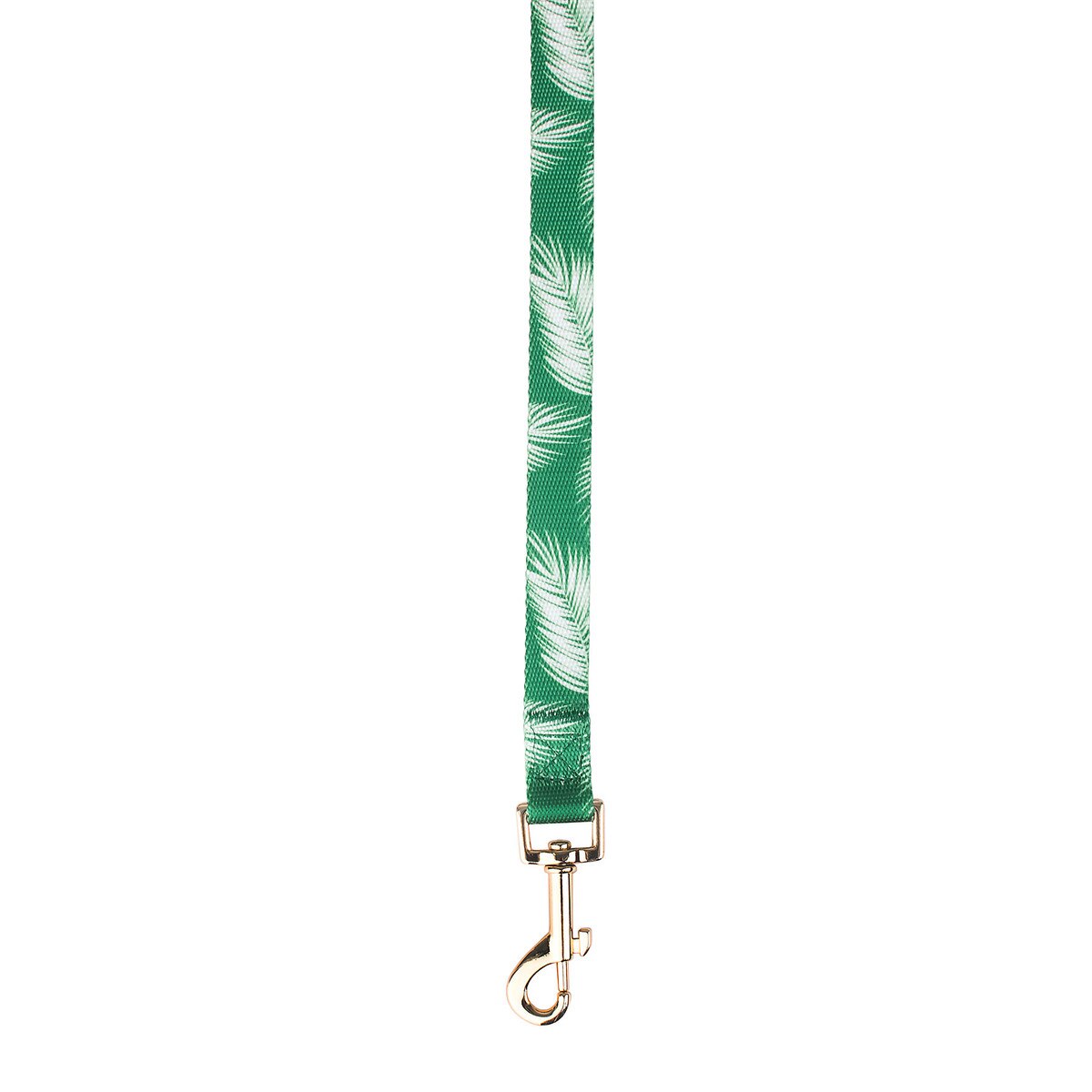 PAL_GREEN-02.jpg
