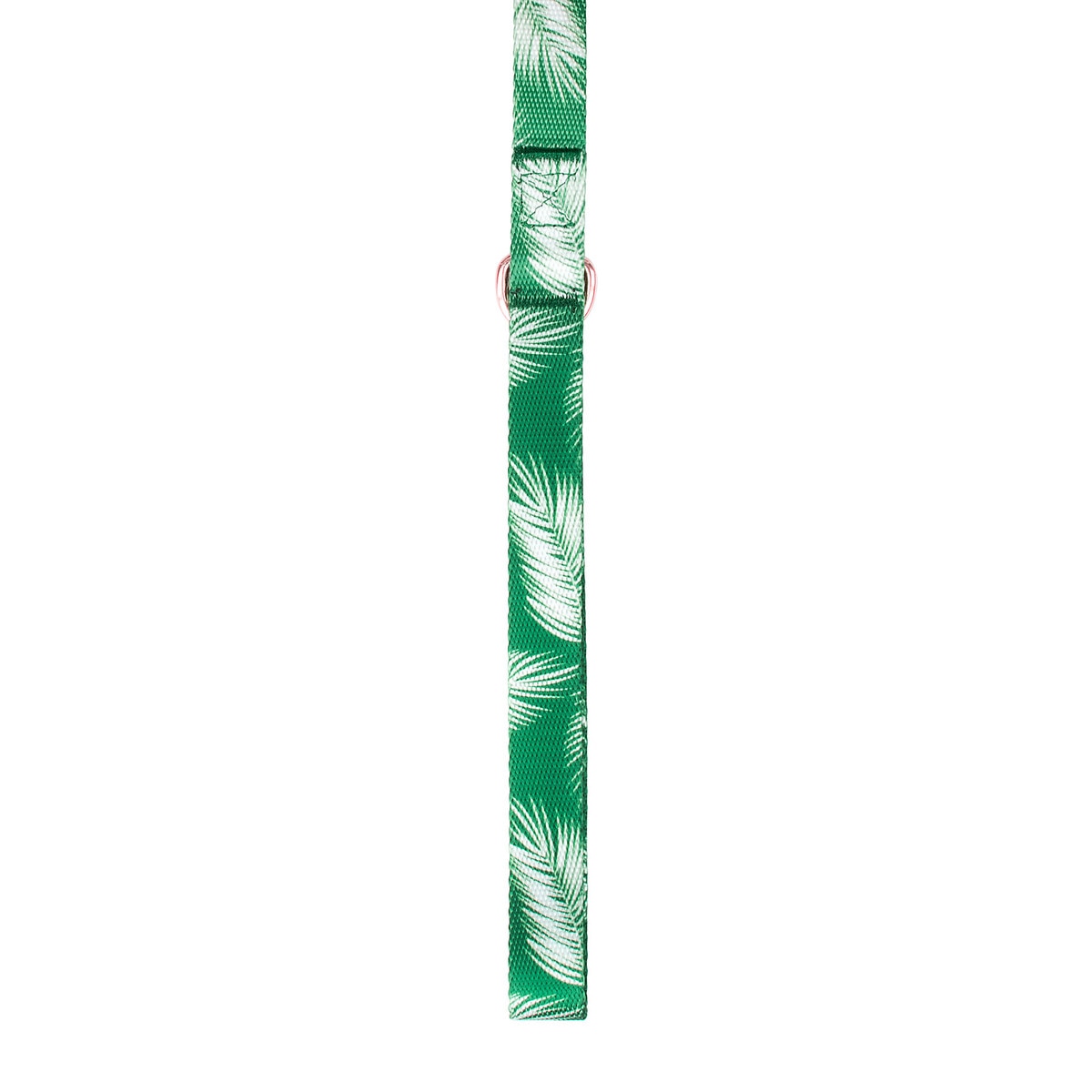PAL_GREEN-03.jpg