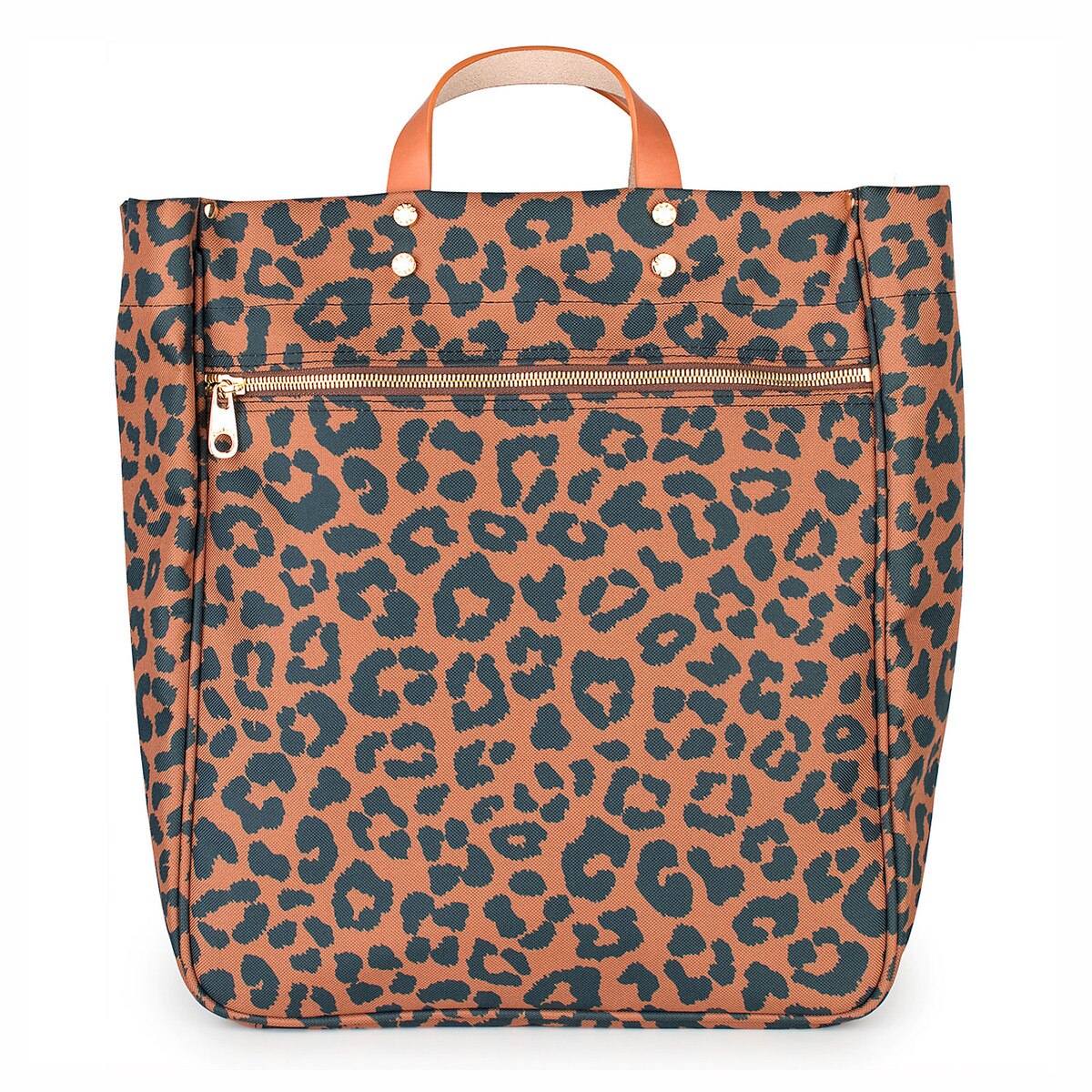 PKN_LEOPARD-01.jpg