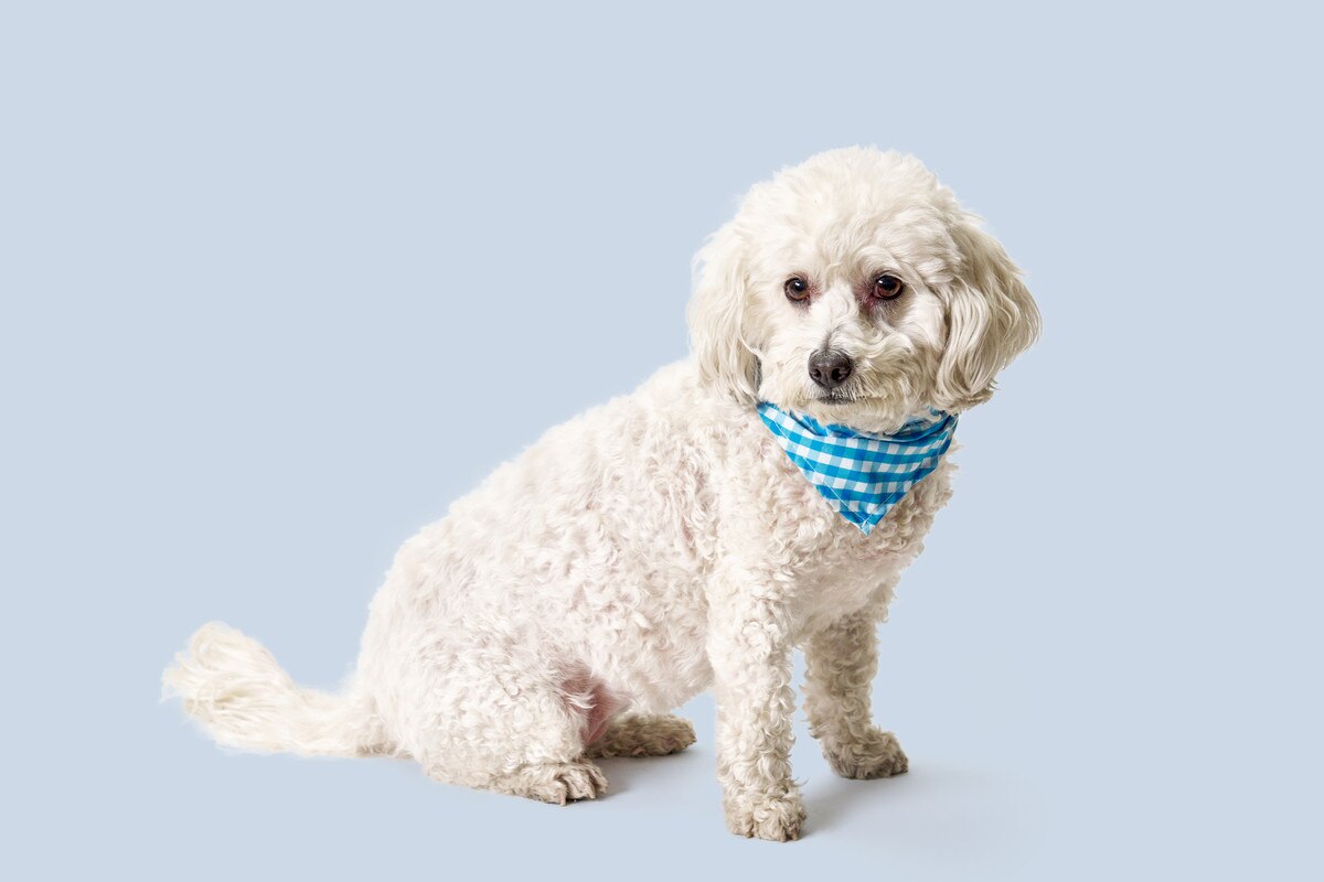 RMG_SKY-04.hover.jpg